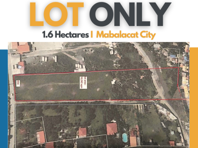 Industrial Lot for Sale in Mabalacat City | 1.6 Hectares | R&W Realty